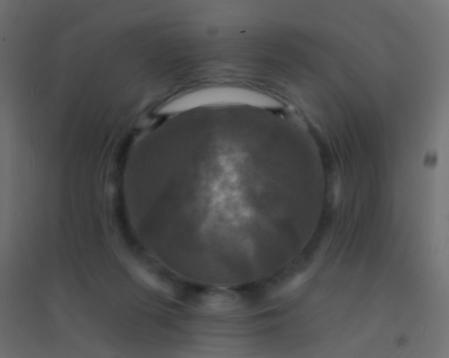 X0000094900215200712131438