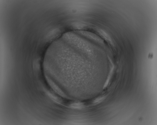 X0000094900217200712131438