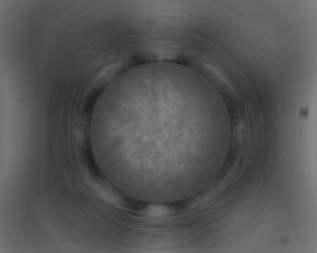 X0000094900218200712131438