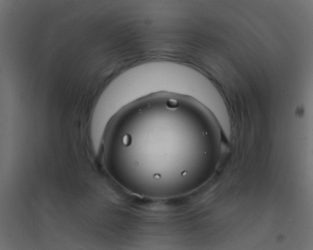 X0000094900219200712131438