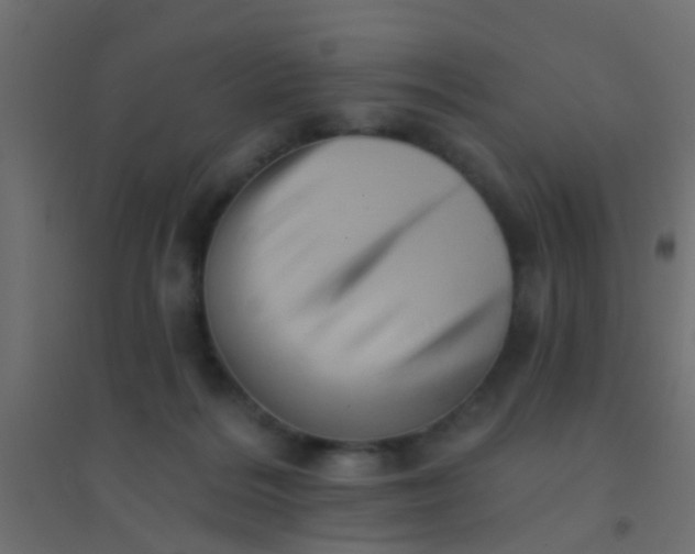 X0000094900220200712131438