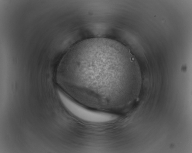X0000094900221200712131438
