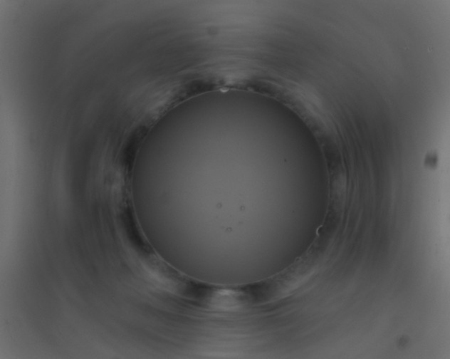X0000094900222200712131437
