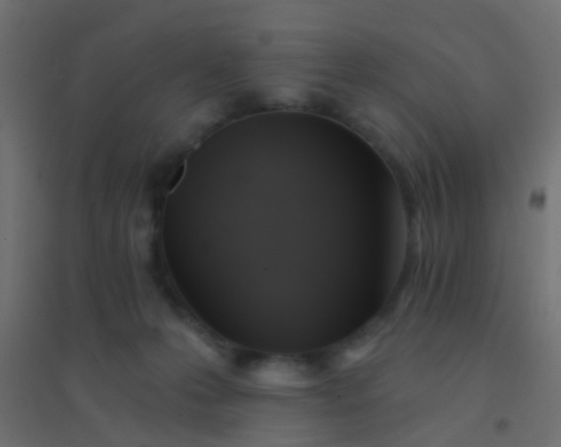 X0000094900223200712131437