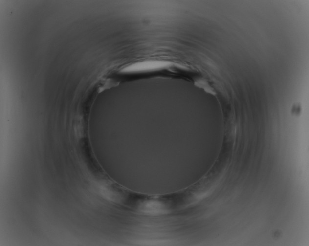 X0000094900224200712131437