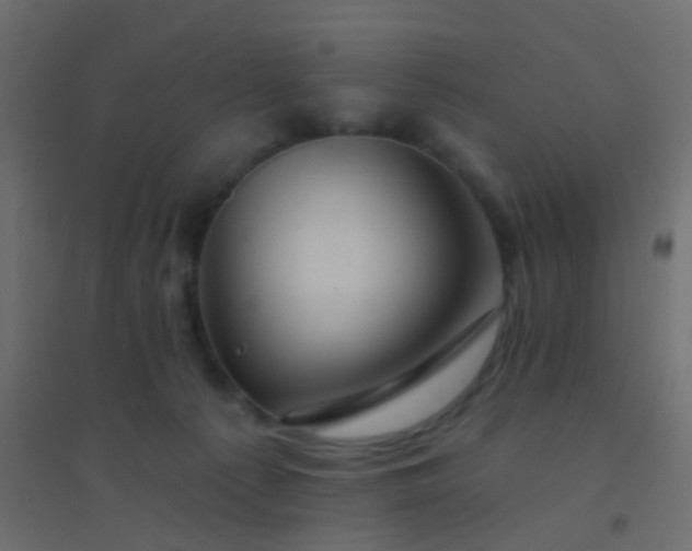 X0000094900225200712131437