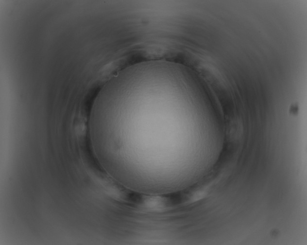 X0000094900226200712131437