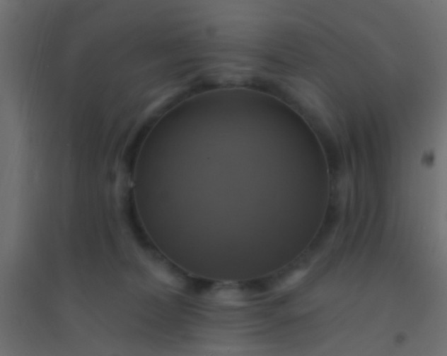 X0000094900228200712131437