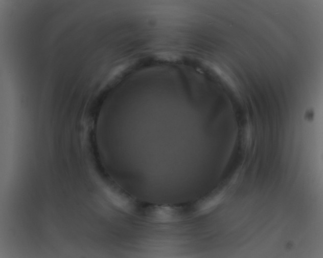 X0000094900229200712131437