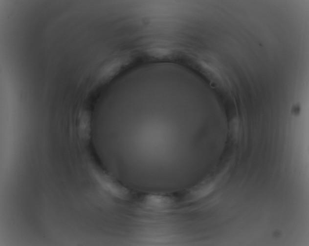 X0000094900234200712131437