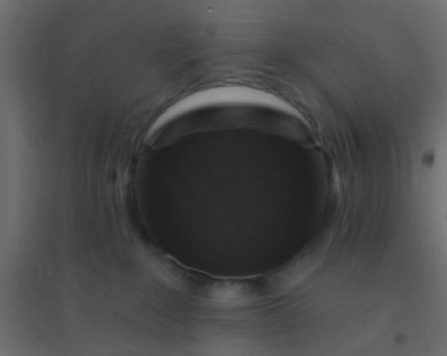 X0000094900235200712131437