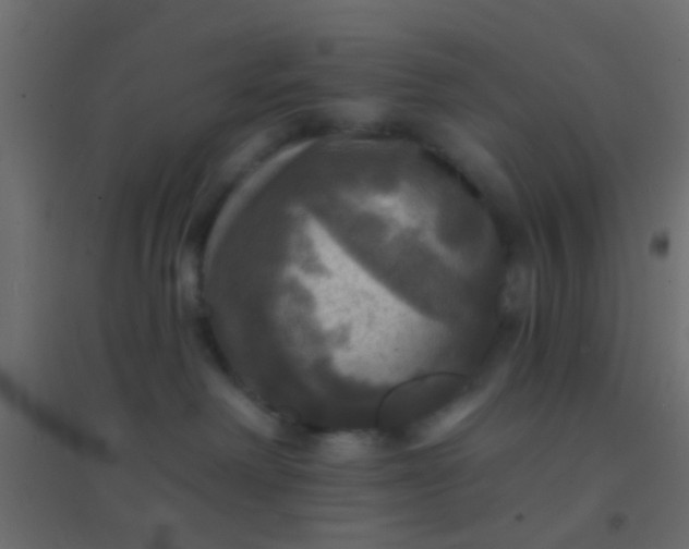 X0000094900238200712131437
