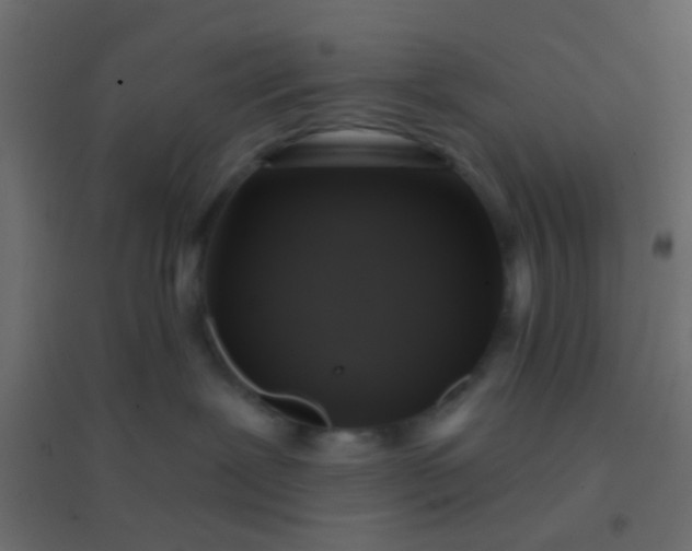 X0000094900239200712131437