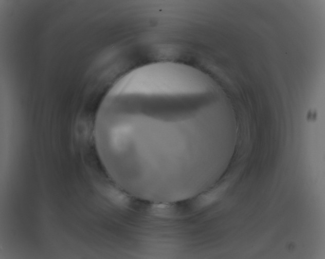 X0000094900240200712131437