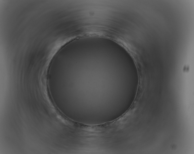 X0000094900241200712131437