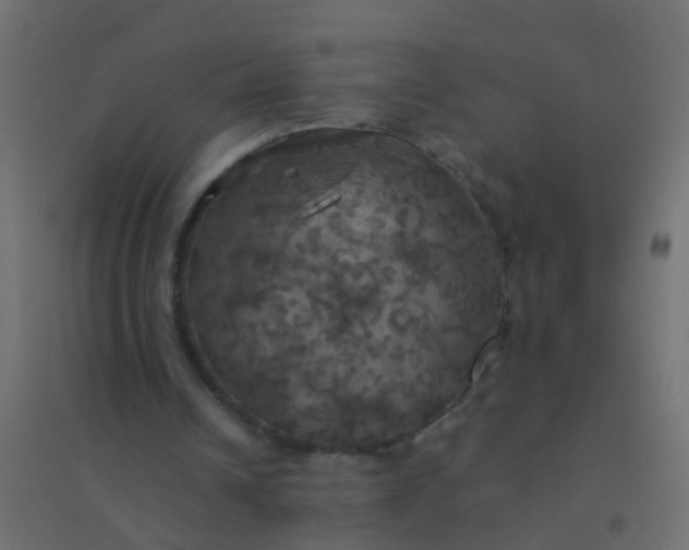 X0000094900242200712131437