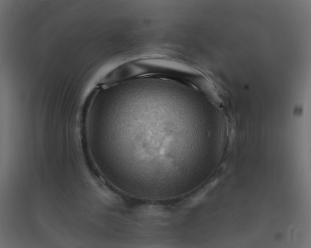 X0000094900244200712131437