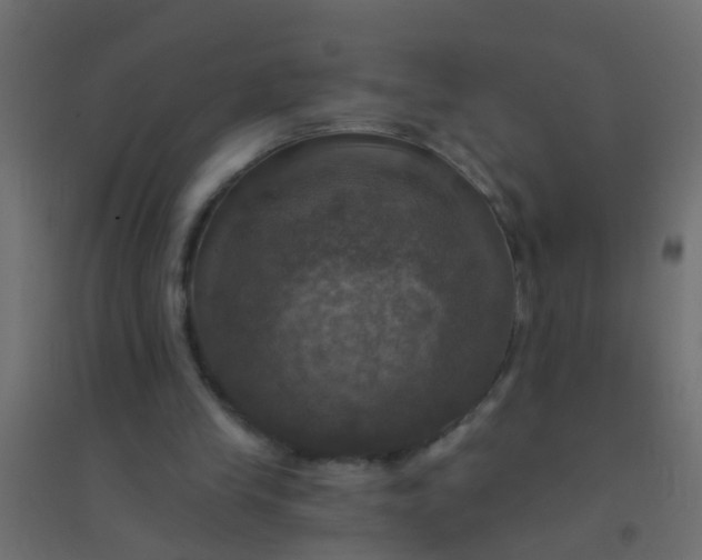 X0000094900245200712131437