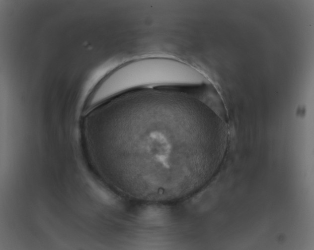 X0000094900248200712131437