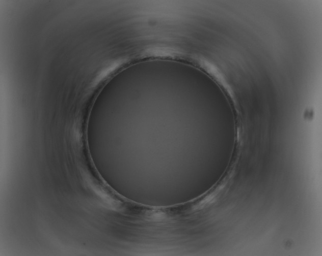 X0000094900249200712131437