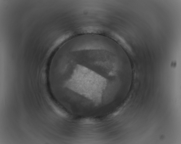 X0000094900250200712131437