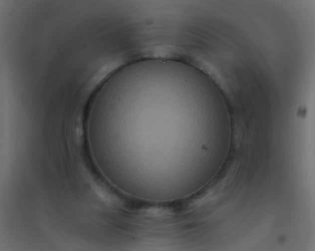 X0000094900251200712131437
