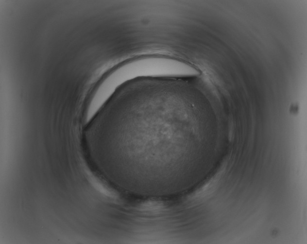 X0000094900252200712131437