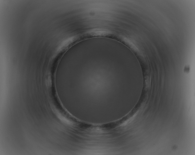 X0000094900254200712131437
