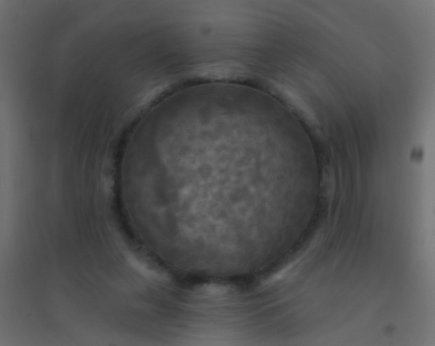 X0000094900255200712131437