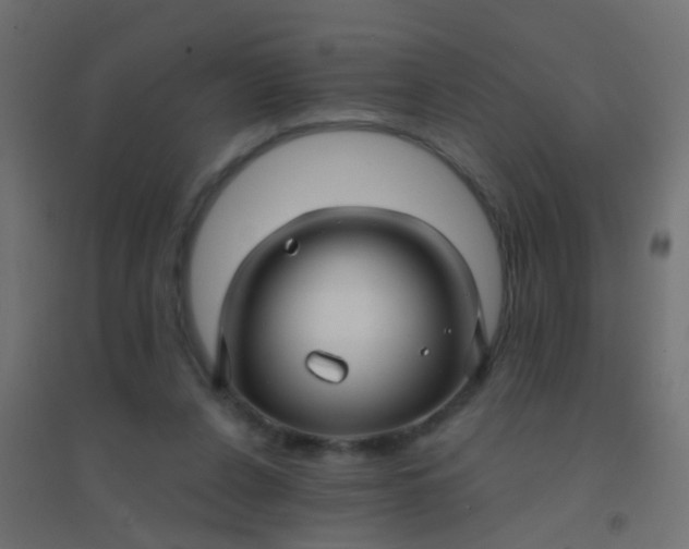 X0000094900256200712131437