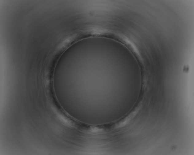 X0000094900257200712131437