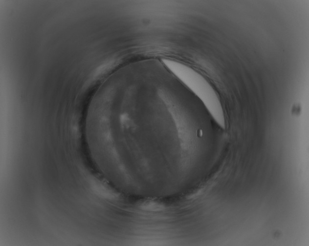 X0000094900258200712131437