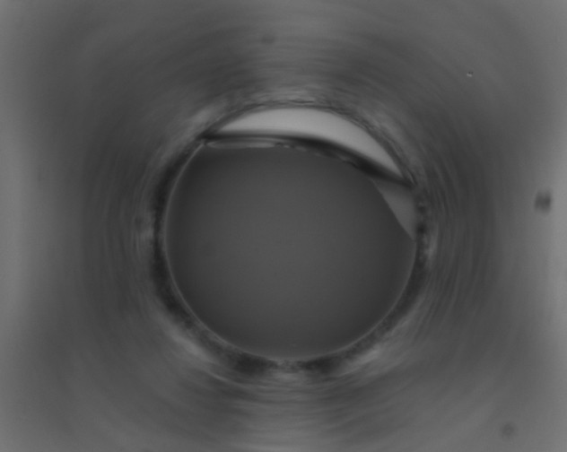 X0000094900260200712131437