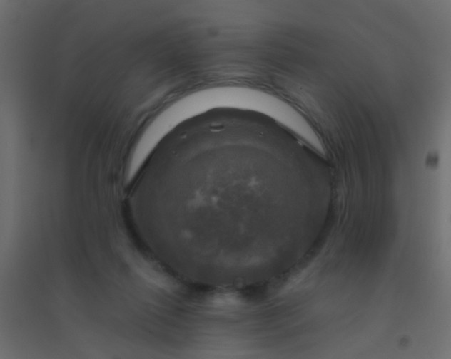 X0000094900262200712131437