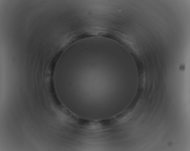 X0000094900263200712131437