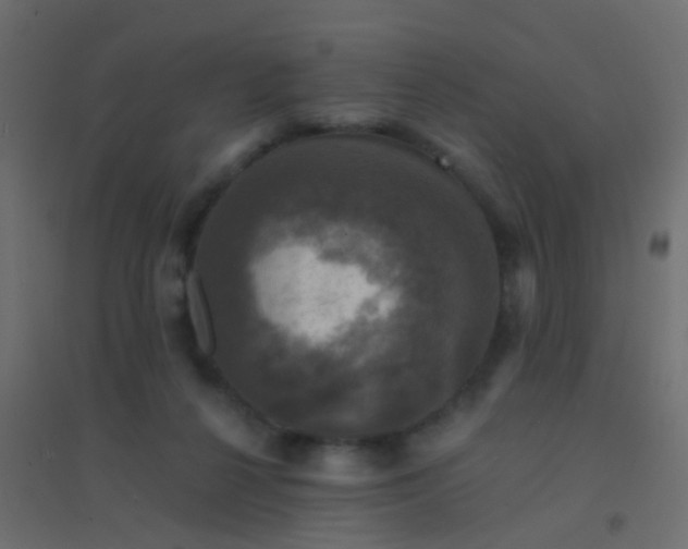 X0000094900264200712131437