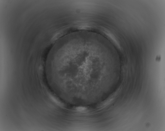 X0000094900265200712131437