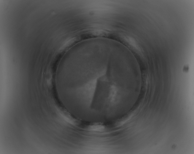 X0000094900266200712131437