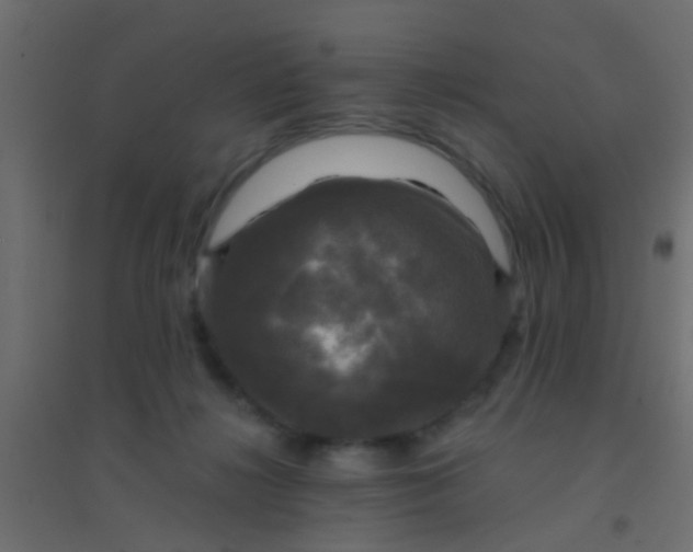 X0000094900268200712131437