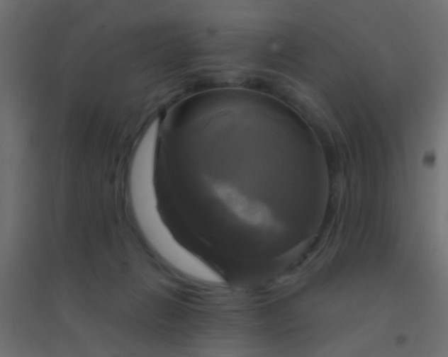 X0000094900270200712131437