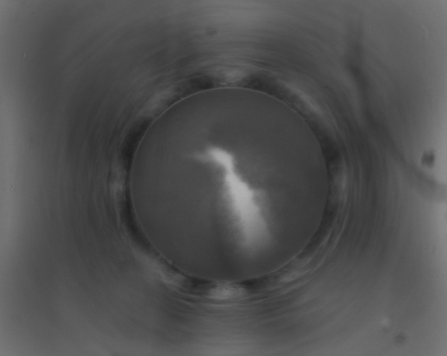 X0000094900274200712131437