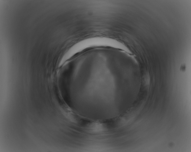 X0000094900276200712131437