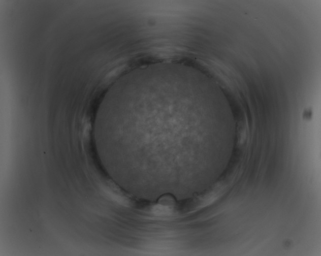 X0000094900279200712131437