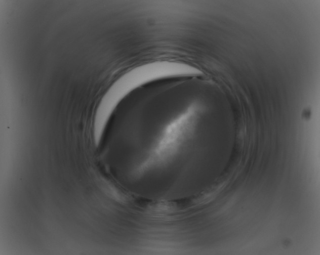 X0000094900282200712131437