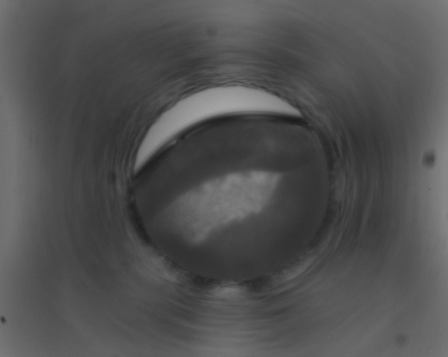 X0000094900283200712131437