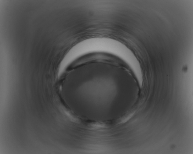 X0000094900284200712131437