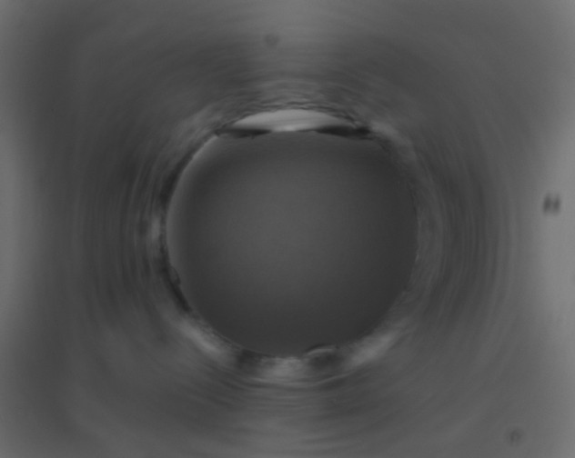 X0000094900288200712131437