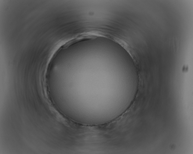 X0000094900289200712131437