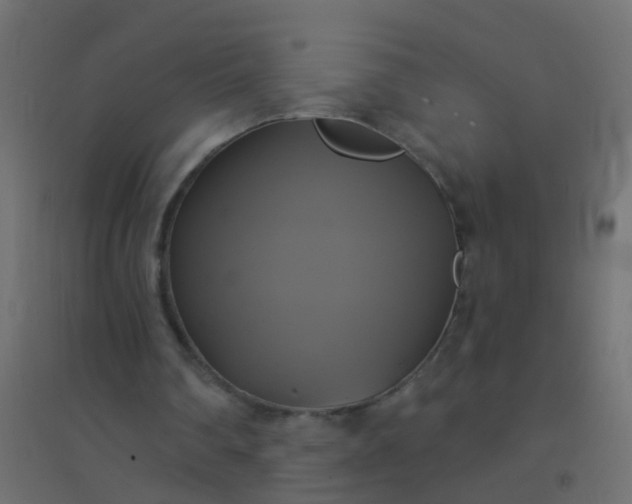 X0000094900290200712131437