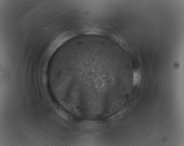 X0000094900291200712131437